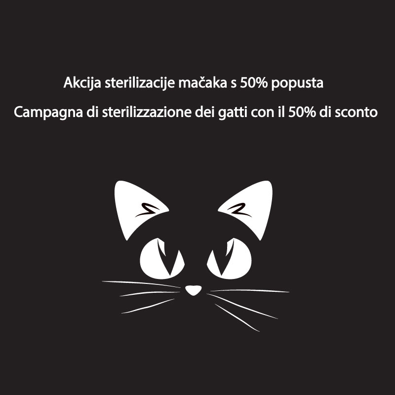 L'associazione Mijau, anche quest’anno organizza una campagna di sterilizzazione dei gatti in istria con il 50% di sconto