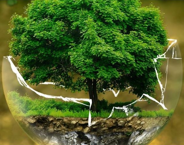 Evidencija lokacija odbačenog otpada (ELOO)