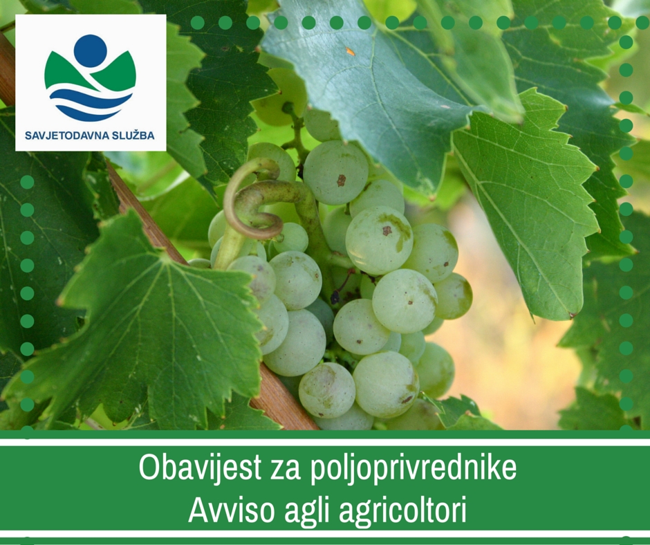 Obavijest vinogradarima!